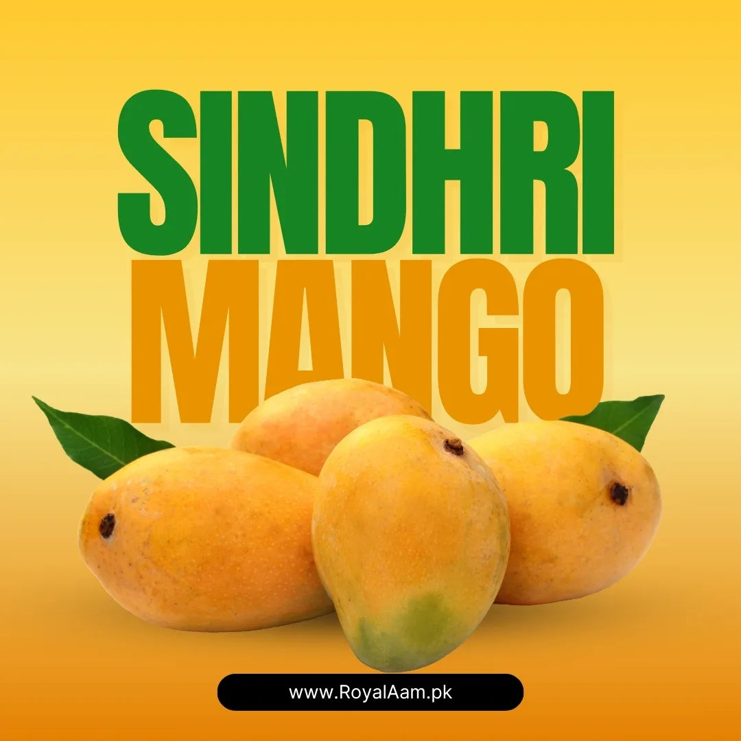 Sindhri Mango – Export Quality, Farm Fresh Delight